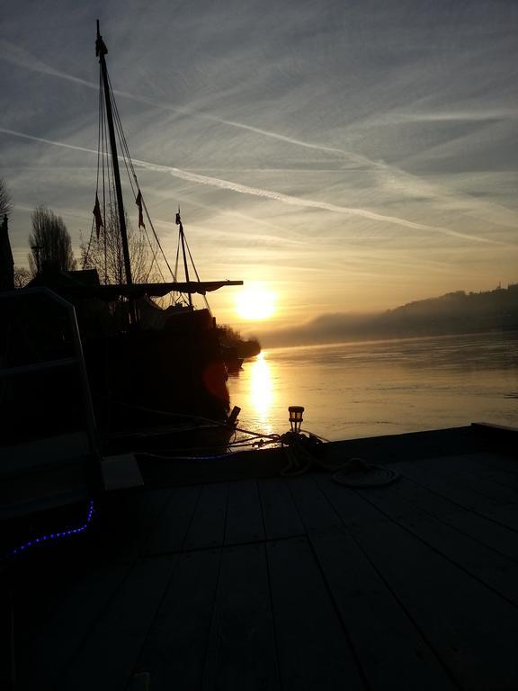 Different Holidays Saumur Esterno foto